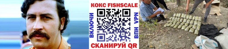 mega рабочий сайт  сколько стоит  Плавск  COCAIN Fish Scale 