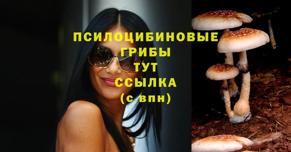 дурь Алексин