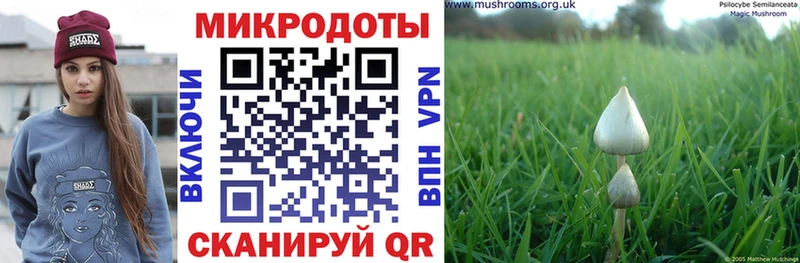 Псилоцибиновые грибы MAGIC MUSHROOMS Плавск